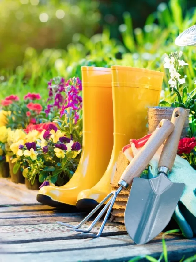 Unearth the Magic – Essential Gardening Tools